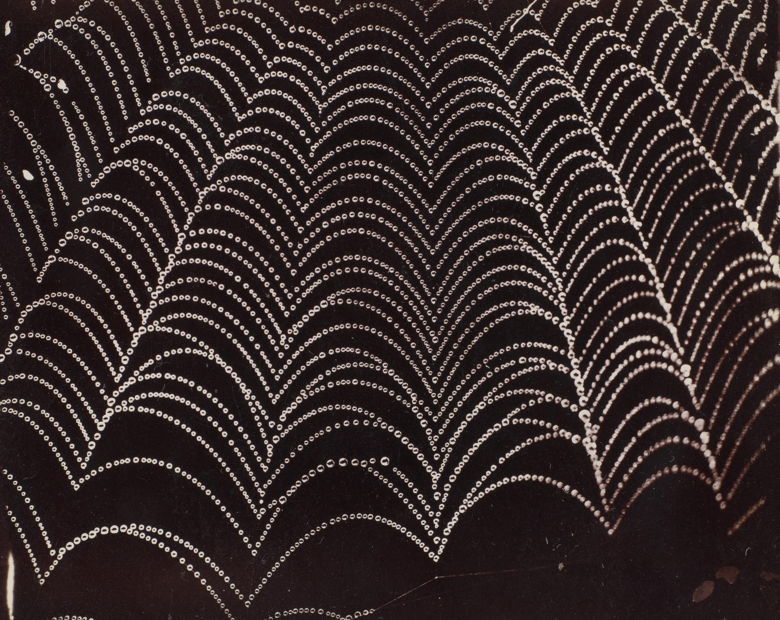 Dew on a Spider Web. Wilson Bentley. ca. 1910. The Metropolitan Museum of Art