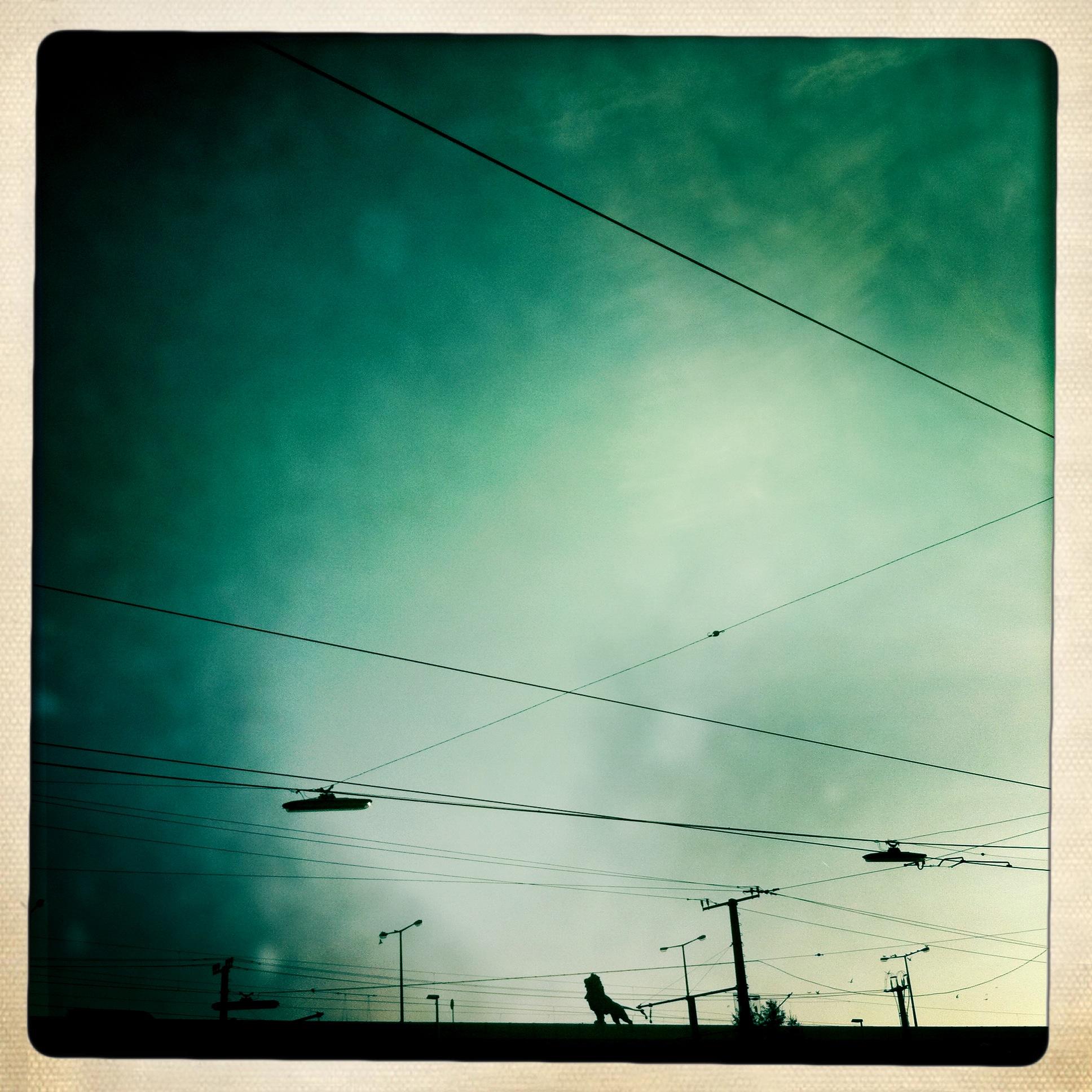Lion on Schemerlbrücke in Vienna.