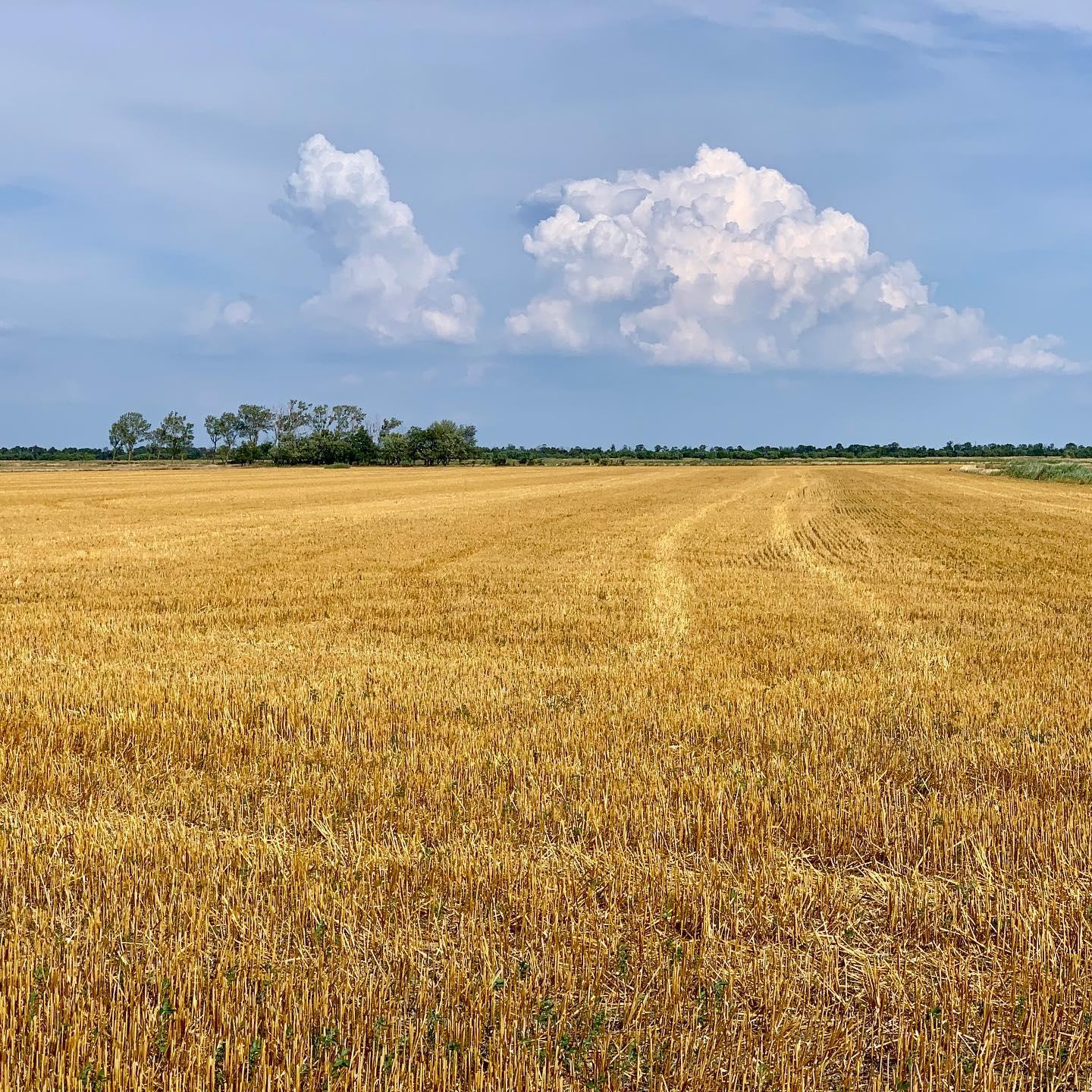 Shot take from Sarród, Gyor-Moson-Sopron, Hungary