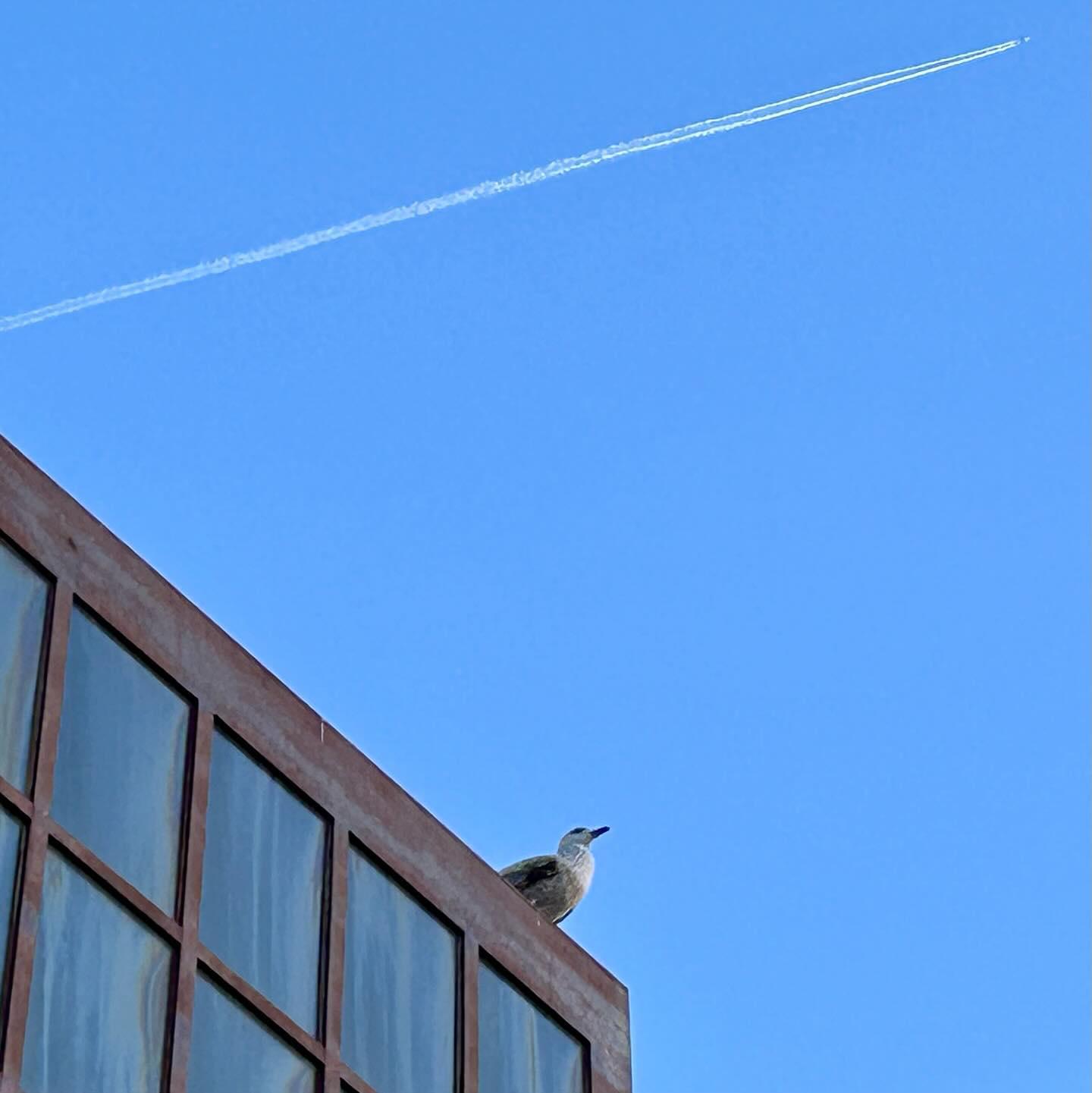 Shot taken from Platja de la Barceloneta, Barcelona