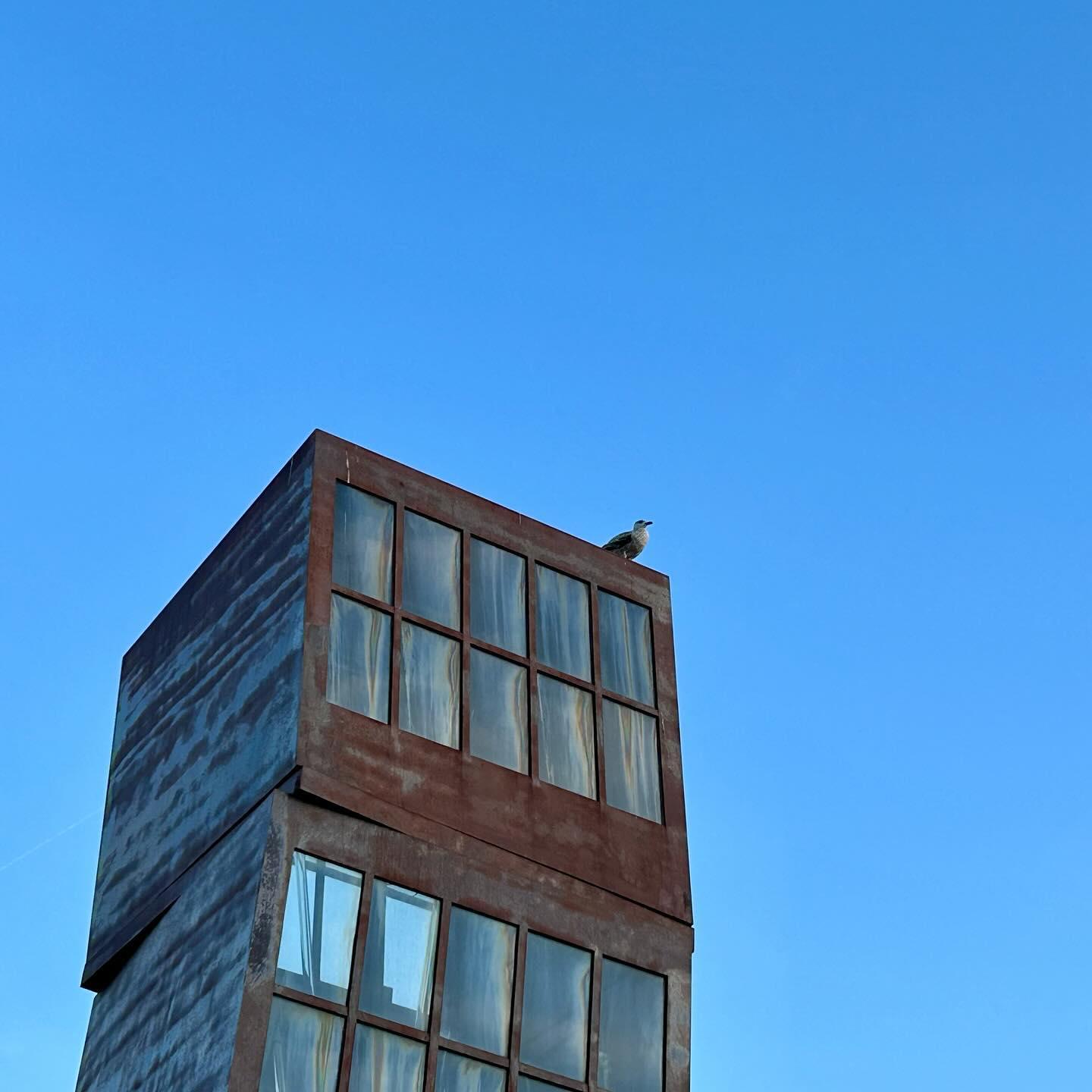 Shot taken from Platja de la Barceloneta, Barcelona