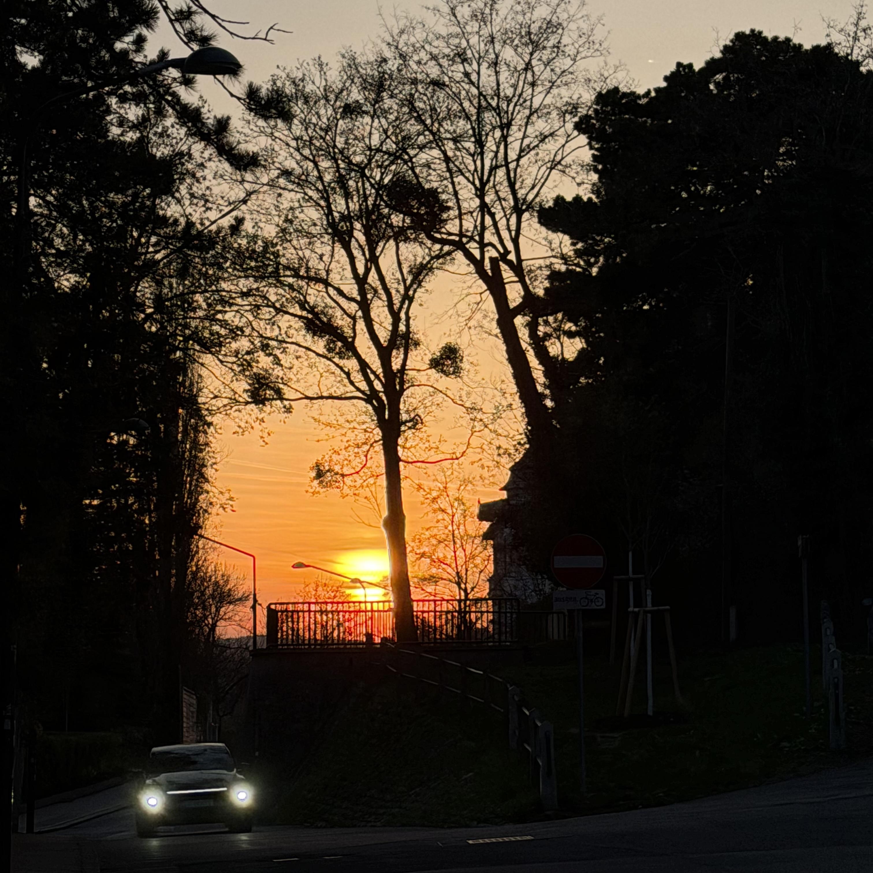 Sun setting in Vienna