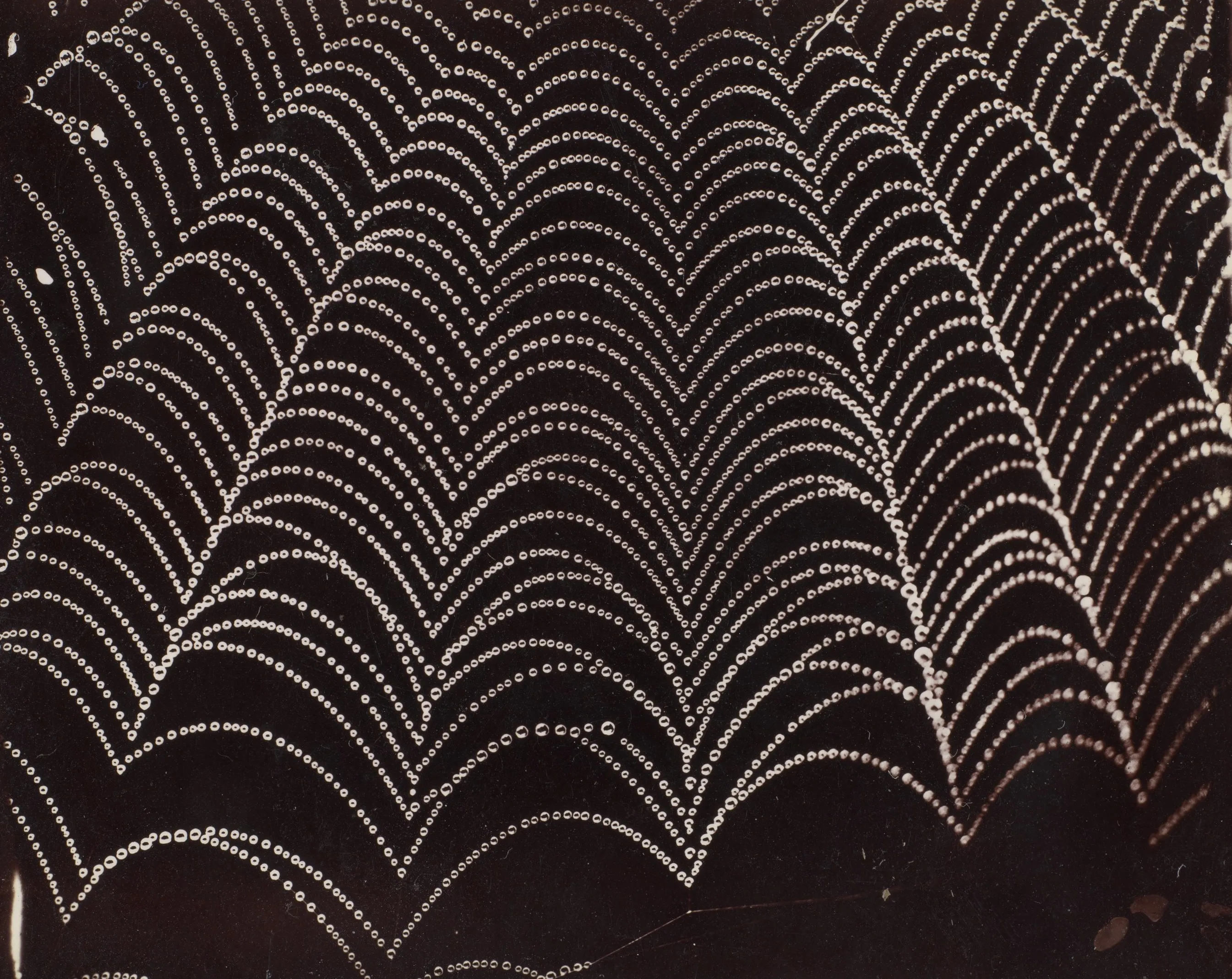 Dew on a Spider Web. Wilson Bentley. ca. 1910. The Metropolitan Museum of Art