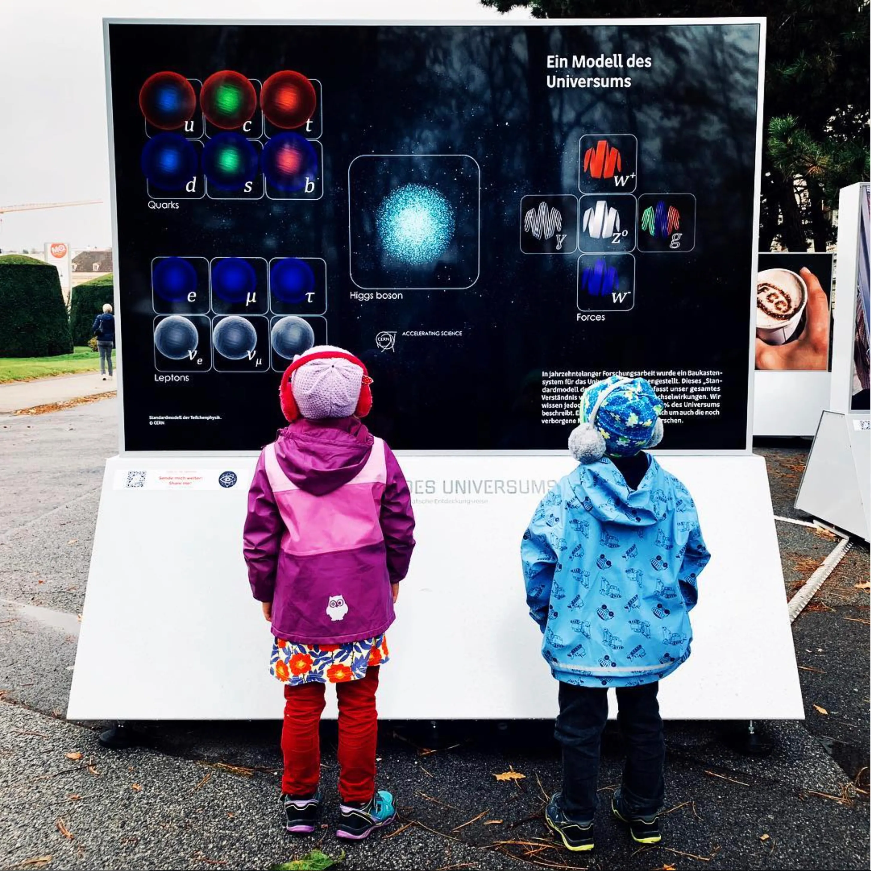 Elementary Particles