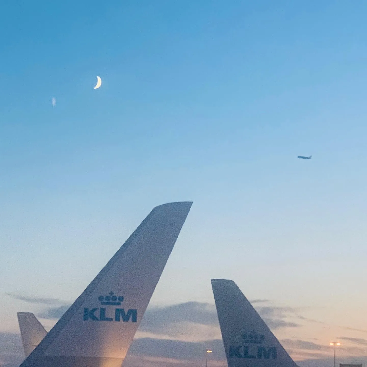 Fly me to the moon