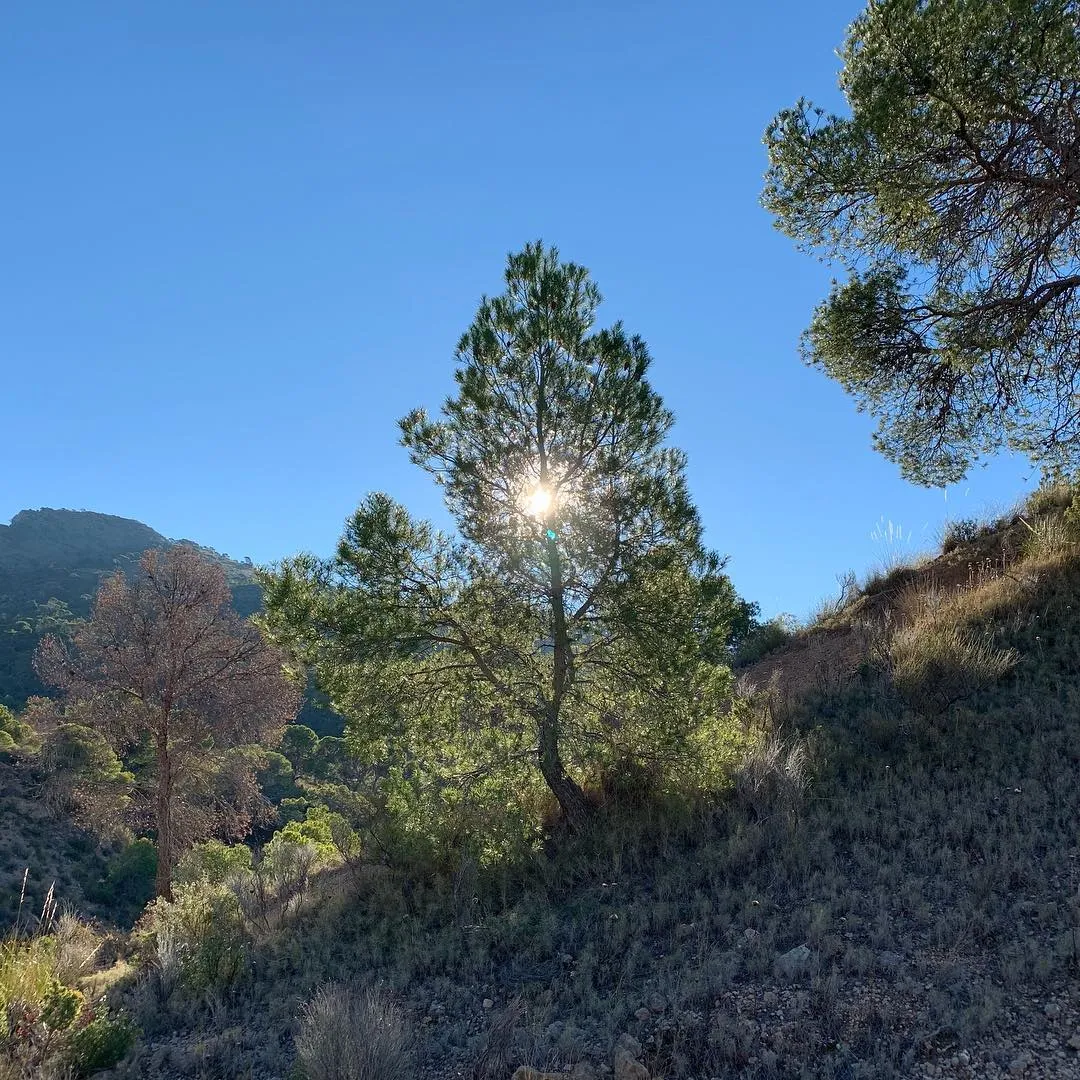 Hello 2019!