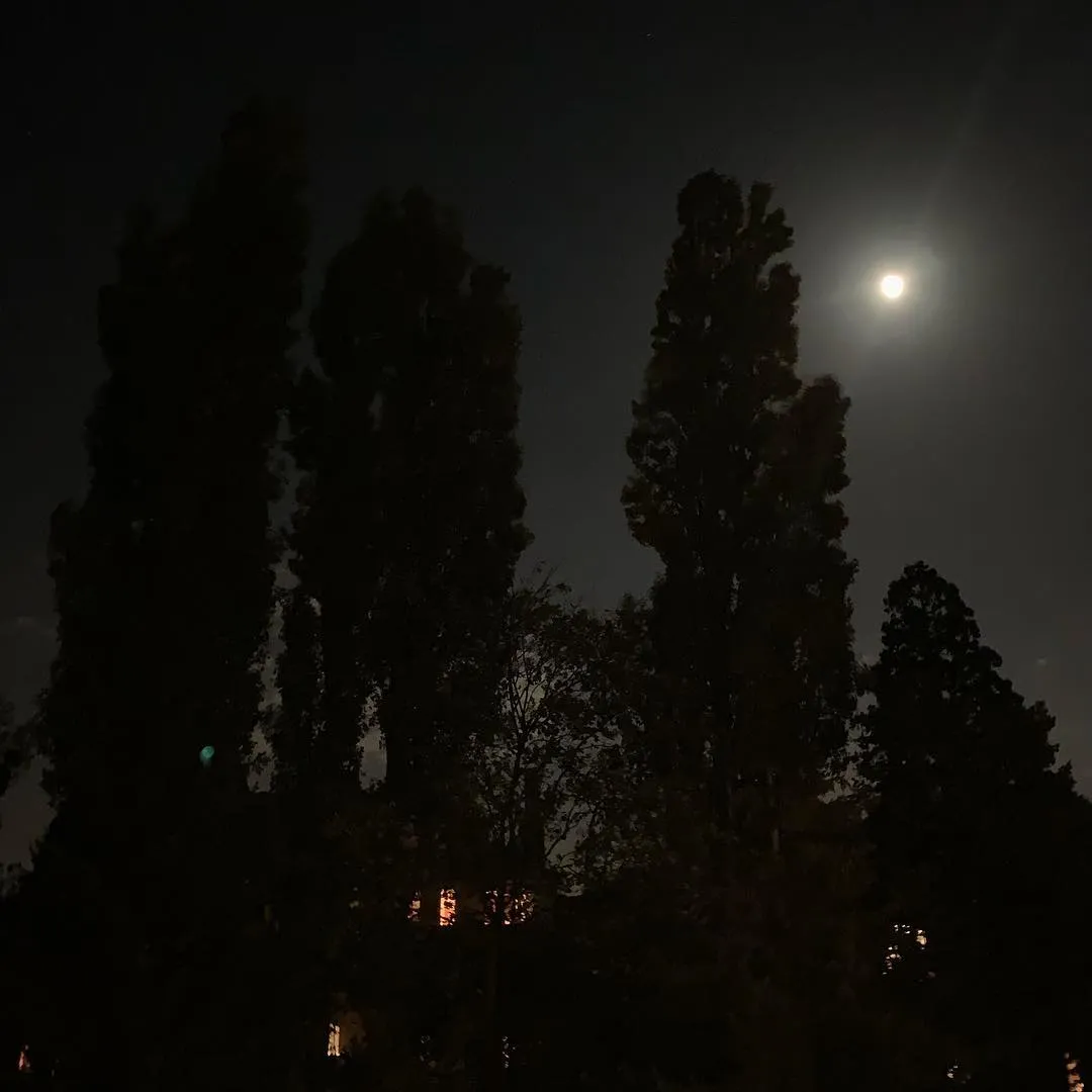 Moonlight Shadow