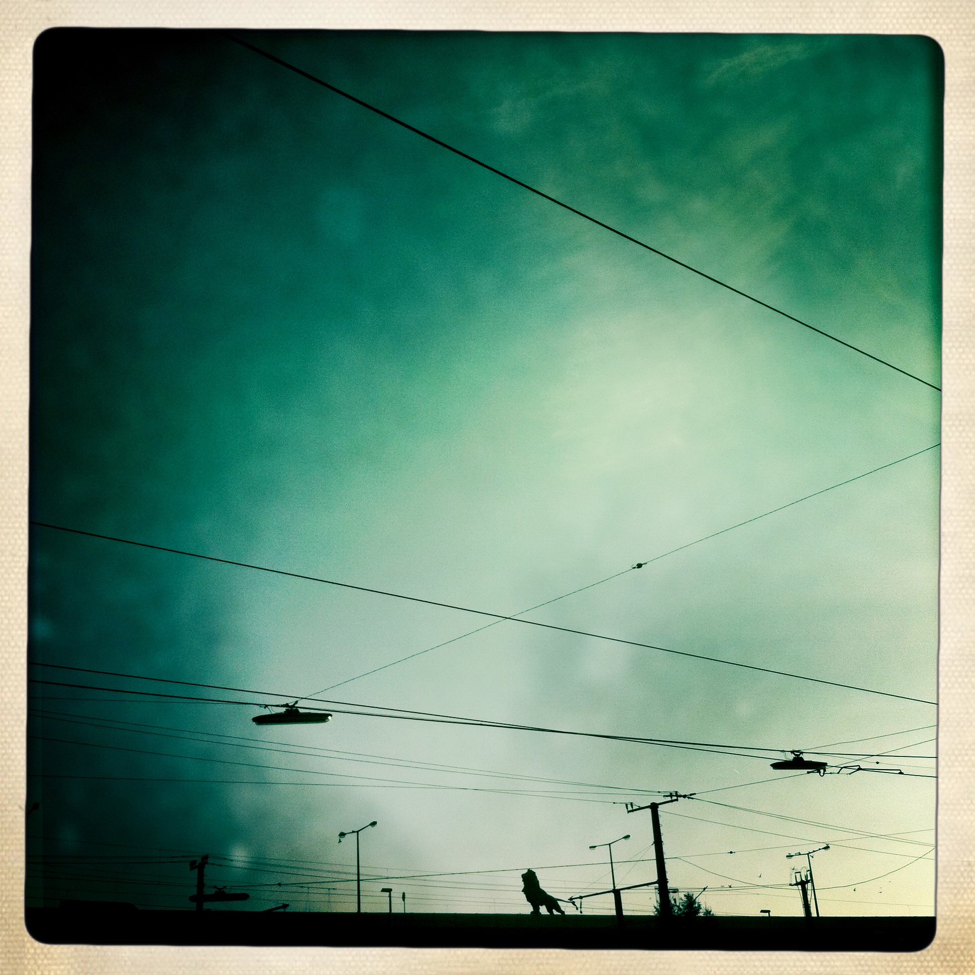 Lion on Schemerlbrücke in Vienna.