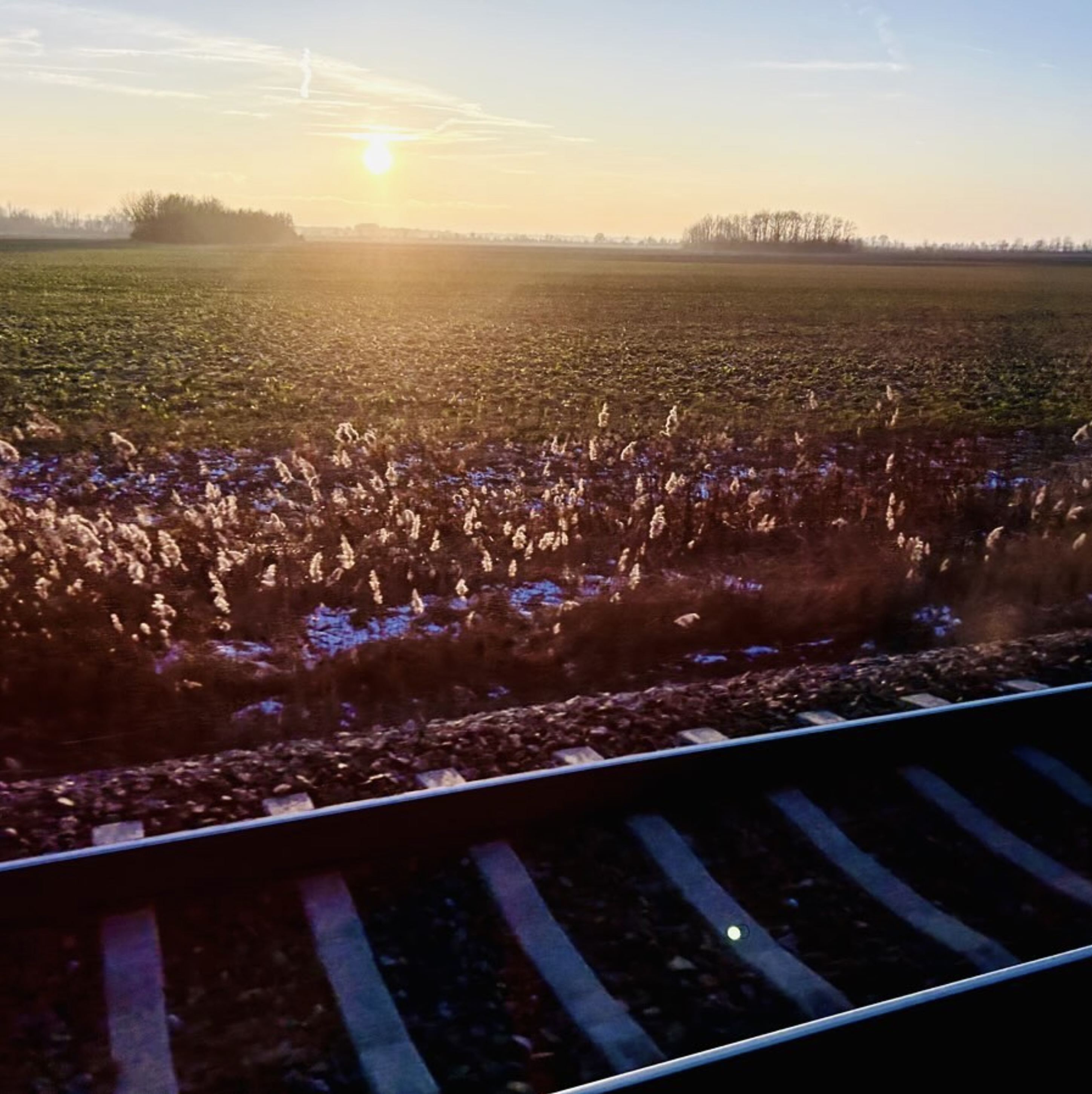 Shot take from a train on the way to Vienna