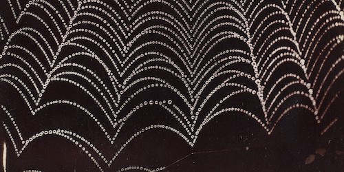 Dew on a Spider Web. Wilson Bentley. ca. 1910. The Metropolitan Museum of Art